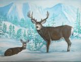 Mule Deer painting for Christmas Card