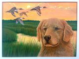 Duck stamp submission